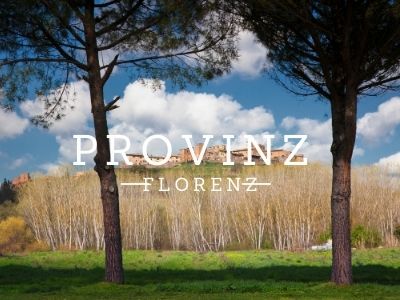 Ferienwohnungen-provinz-florenz