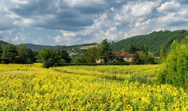 Ferienhäuser in der Provinz Arezzo