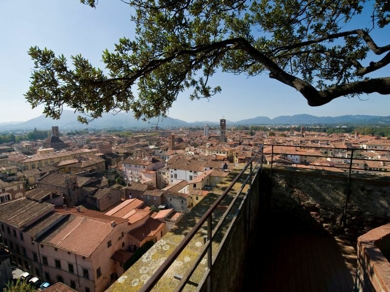 Wochenmarkt in Lucca - Mercato di Lucca