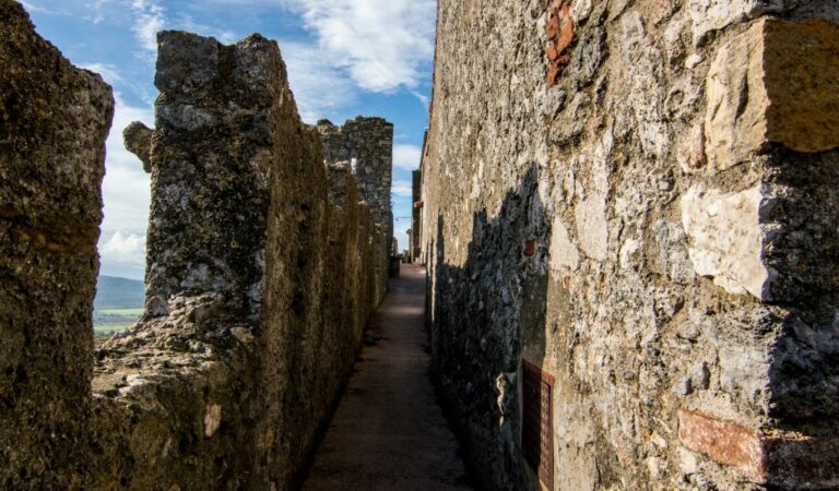 Wochenmarkt in Capalbio - Mercato a Capalbio 3 Wochenmarkt in Capalbio - Mercato a Capalbio