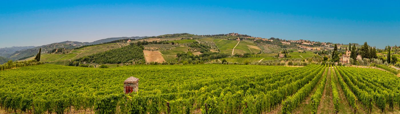 Greve in Chianti Panorama