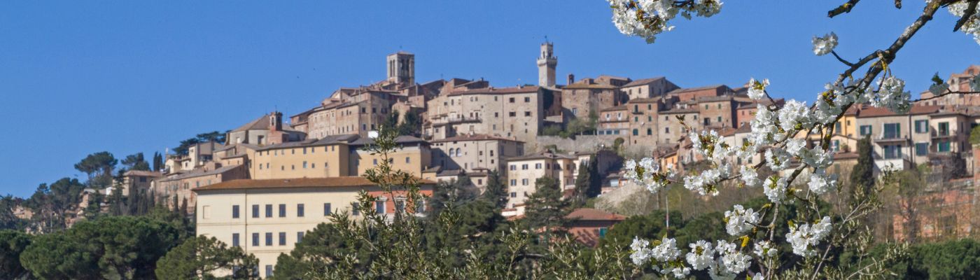 Montepulciano Wein