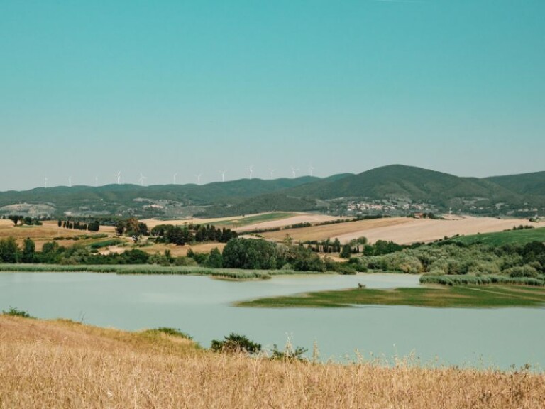 Wochenmarkt in Santa Luce - Mercato di Santa Luce 4 Wochenmarkt in Santa Luce - Mercato di Santa Luce