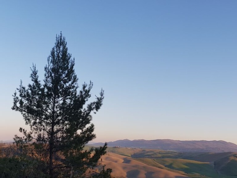 Wochenmarkt in Terricciola - Mercato di Terricciola 4 Wochenmarkt in Terricciola - Mercato di Terricciola