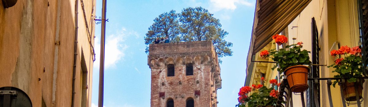 Torre Guinigi Lucca