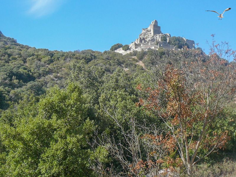 Rocca di San Silvestro in Campiglia Marittima