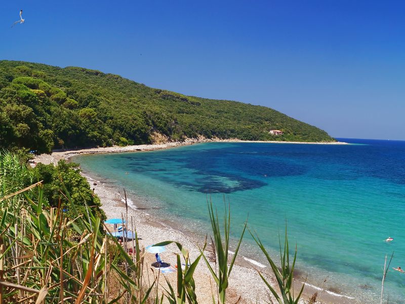 wochenmarkt-cavo Wochenmarkt in Cavo